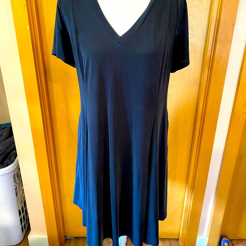 Torrid Trapeze Dress